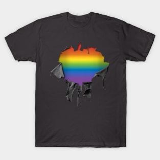 LGBTQ Pride T-Shirt